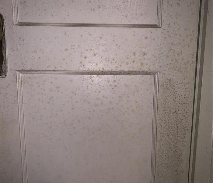 A white door is covered with microbial growth that looks like little brown spots all over it.