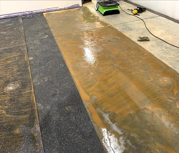 Wet and muddy concrete floor with rubberized mats on the side. 